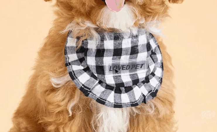 查看大图